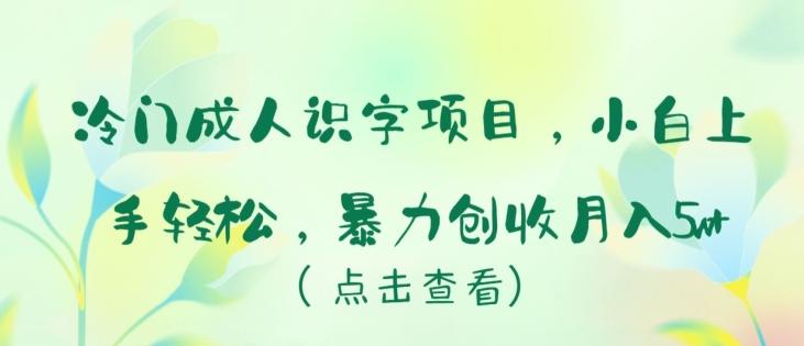 冷门成人识字项目，小白上手轻松，暴力创收月入5w+【揭秘】-网创论坛