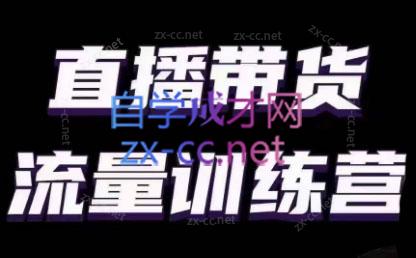 婉婉·直播带货课程系列合集(更新8月)-网创论坛