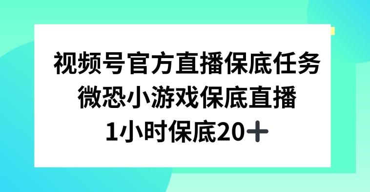 视频号直播任务，微恐小游戏，1小时20+【揭秘】-网创论坛