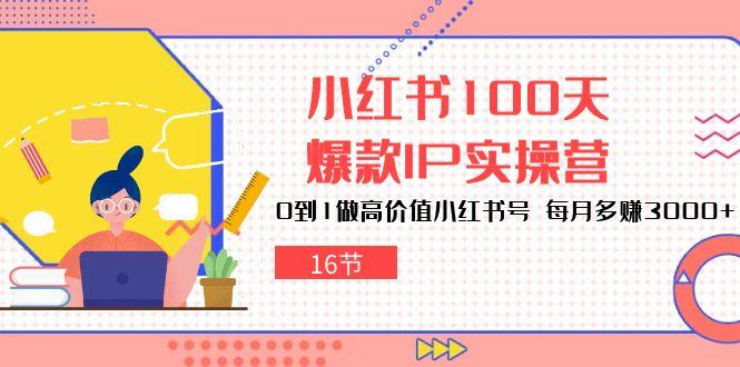 小红书100天-爆款IP实操营，0到1做高价值小红书号 每月多赚3000+(16节-网创论坛