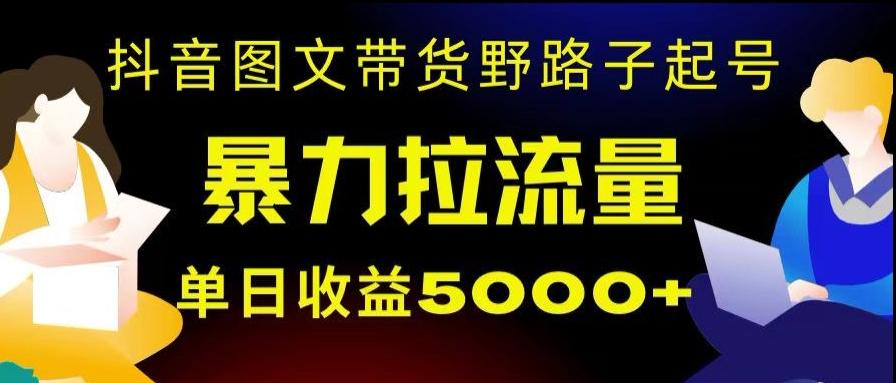 抖音图文带货暴力起号，单日收益5000+，野路子玩法，简单易上手，一部手机即可【揭秘】-网创论坛