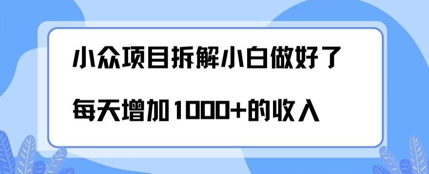小众项目拆解，小白做好了每天可增加1000多的收入-网创论坛