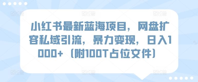 小红书最新蓝海项目，网盘扩容私域引流，暴力变现，日入1000+(附100T占位文件)【揭秘】-网创论坛