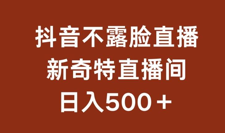 不露脸挂机直播，新奇特直播间，日入500+【揭秘】-网创论坛