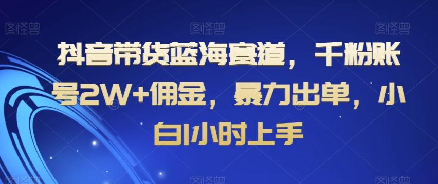 抖音带货蓝海赛道，千粉账号2W+佣金，暴力出单，小白1小时上手【揭秘】-网创论坛