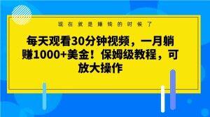 每天观看30分钟视频，一月躺赚1000+美金！保姆级教程，可放大操作【揭秘】-网创论坛