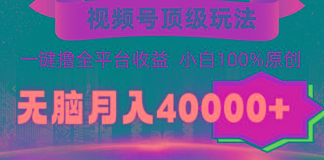 (9281期)视频号顶级玩法，无脑月入40000+，一键撸全平台收益，纯小白也能100%原创-网创论坛