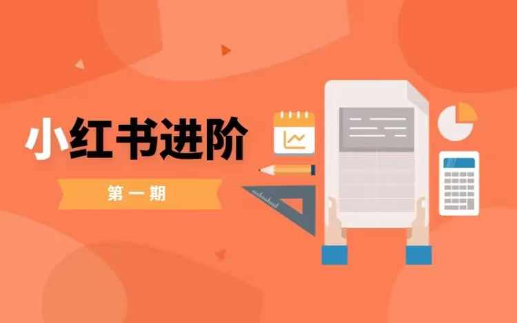 小红书进阶篇，零基础小白实战课，普通人变现的课程-网创论坛