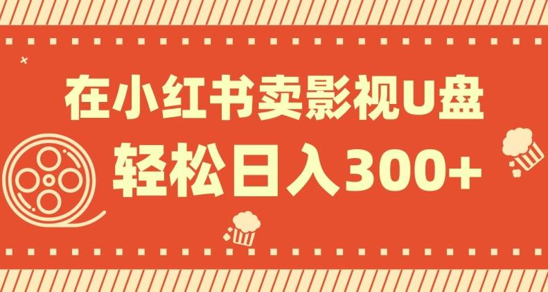 在小红书上卖影视U盘，轻松日入300+，操作简单，小白可轻松上手-网创论坛