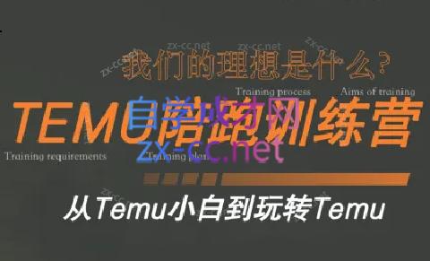 苗苗·拼多多跨境（temu）课程-网创论坛
