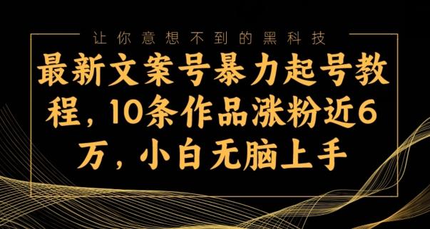 最新文案号暴力起号教程，10条作品涨粉近6万，小白无脑上手-网创论坛