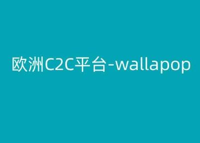 欧洲C2C平台-wallapop-kim跨境电商教程-网创论坛