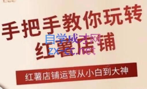 海燕老师·2024手把手教你玩转红薯店铺-网创论坛