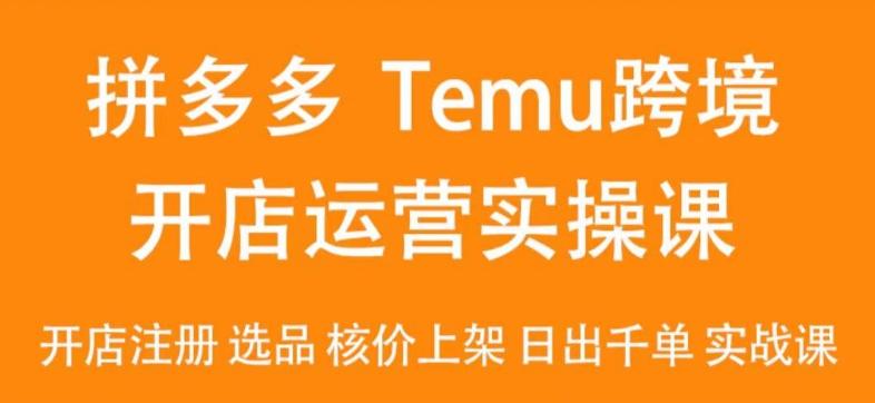 2024Temu最新玩法，Temu跨境开店运营实操课，开店注册/选品/核价上架/日出千单实战课-网创论坛