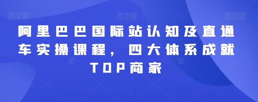 阿里巴巴国际站认知及直通车实操课程，四大体系成就TOP商家-网创论坛