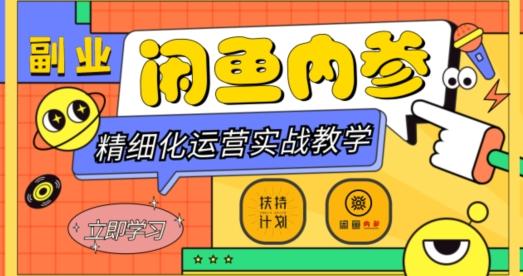 闲鱼精细化运营入门+高阶实战教学，从底层逻辑到轻松变现，多维度玩转闲鱼副业-网创论坛
