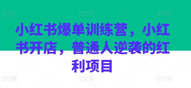 小红书爆单训练营,小红书开店,普通人逆袭的红利项目
