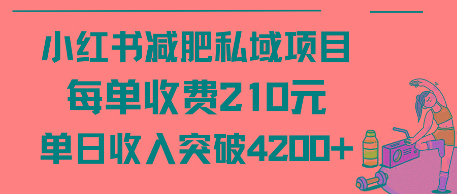 (9466期)小红书减肥私域项目每单收费210元单日成交20单，最高日入4200+-网创论坛