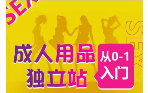 成人用品独立站从0-1入门，成品独立站运营全流程教学，七大好卖成品独立站推荐-网创论坛