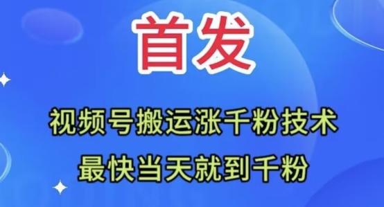 全网首发：视频号无脑搬运涨千粉技术，最快当天到千粉【揭秘】-网创论坛