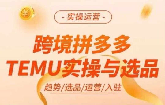 跨境拼多多TEMU实操与选品，多多temu跨境选品运营实操-网创论坛