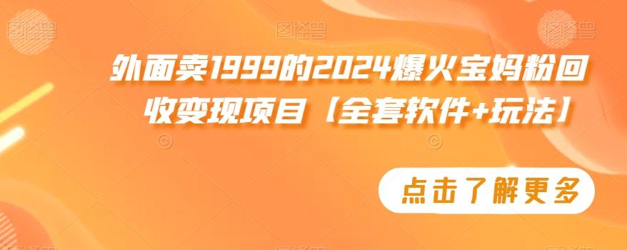 外面卖1999的2024爆火宝妈粉回收变现项目【全套软件+玩法】【揭秘】-网创论坛
