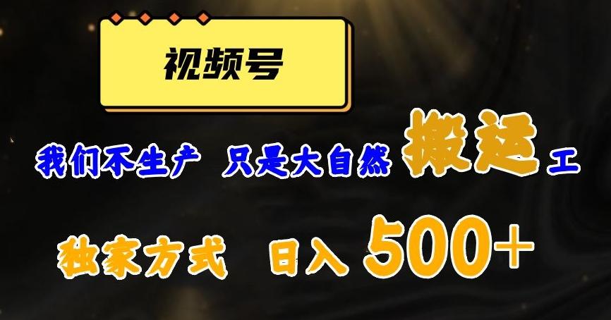 视频号轻松搬运日赚500+，一个1分钟1条原创视频【揭秘】-网创论坛
