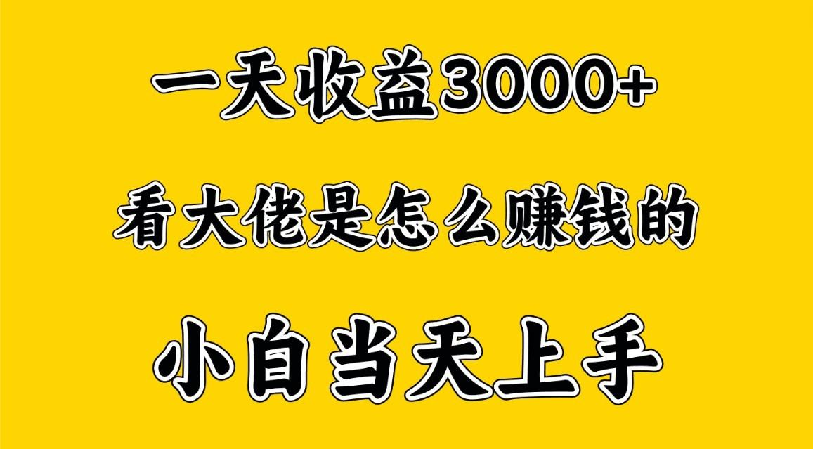一天赚3000多，大佬是这样赚到钱的，小白当天上手，穷人翻身项目-网创论坛