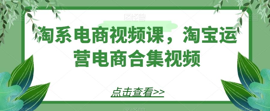 淘系电商视频课，淘宝运营电商合集视频-网创论坛