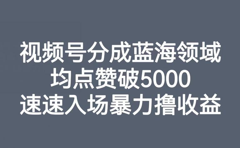视频号分成蓝海领域，均点赞破5000，速速入场暴力撸收益-网创论坛