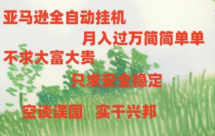 亚马逊全自动浏览挂机，，收益稳定且前景广阔-网创论坛