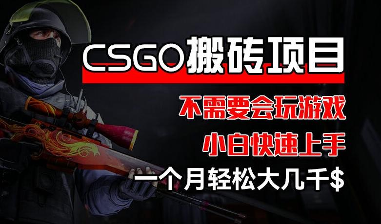 CSGO 装备搬砖项目，操作简单，不需要会玩游戏，小白也能快速上手，一个月轻松大几千【揭秘】-网创论坛