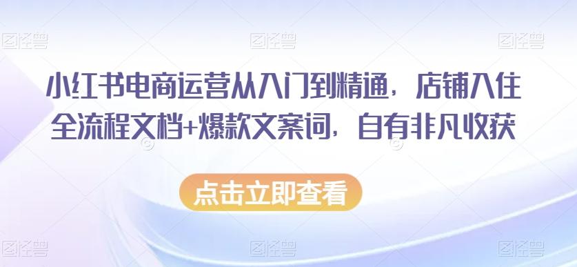 小红书电商运营从入门到精通，店铺入住全流程文档+爆款文案词，自有非凡收获-网创论坛
