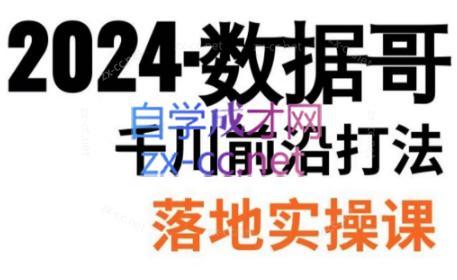 数据哥·2024年千川前沿打法落地实操课-网创论坛
