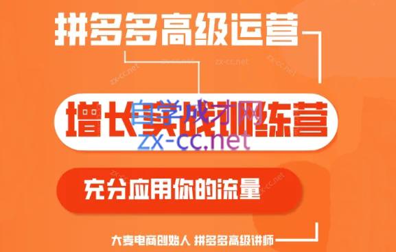 大麦老师·拼多多单品爆款打造课程(更新6月)-网创论坛