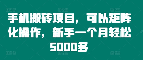 手机搬砖项目，可以矩阵化操作，新手一个月轻松5000多-网创论坛