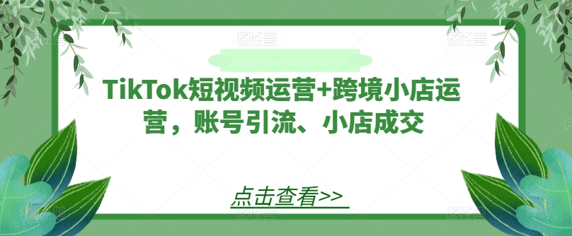 TikTok短视频运营+跨境小店运营，账号引流、小店成交-网创论坛