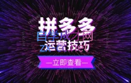力辛电商·拼多多强付费店群玩法-网创论坛