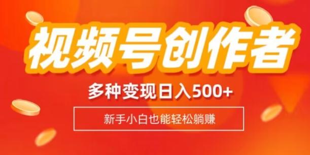 视频号创作者计划，多种变现方式，日入500+【内附1080g视频素材】-网创论坛