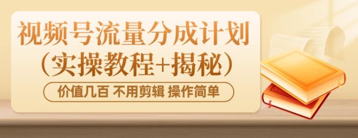 价值几百上千不用剪辑简单操作视频号流量分成计划（实操教程+揭秘）-网创论坛