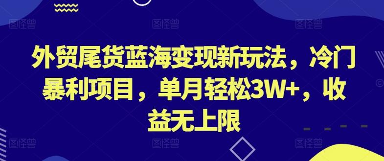 外贸尾货蓝海变现新玩法，冷门暴利项目，单月轻松3W+，收益无上限【揭秘】-网创论坛