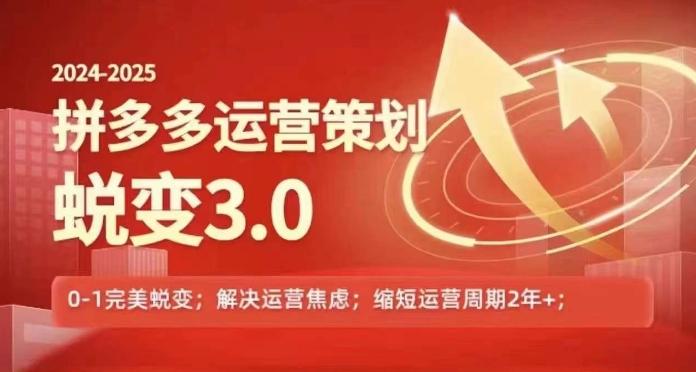 2024-2025拼多多运营策略蜕变3.0，0~1完美蜕变，解决信息焦虑-网创论坛