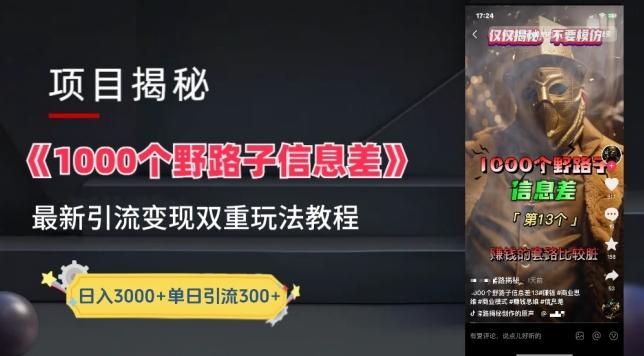 一千个野路子信息差最新玩法教程-变现+引流的玩法具体拆解【揭秘】-网创论坛