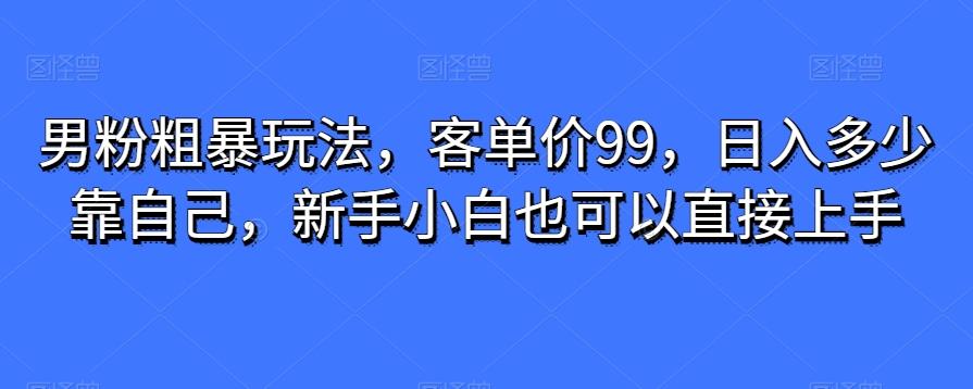男粉粗暴玩法，客单价99，日入多少靠自己，新手小白也可以直接上手-网创论坛