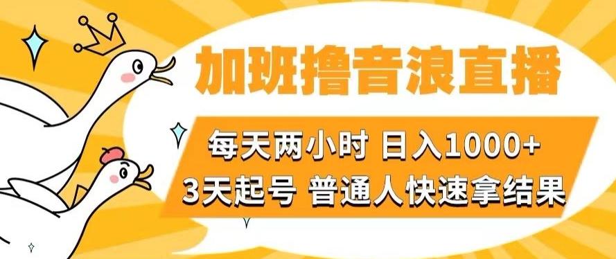 加班撸音浪直播，每天两小时，日入1000+，直播话术才3句，3天起号，普通人快速拿结果【揭秘】-网创论坛