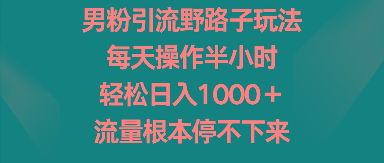 男粉引流野路子玩法，每天操作半小时轻松日入1000＋，流量根本停不下来-网创论坛