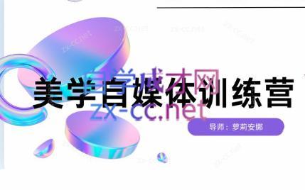 安娜·美学自媒体IP系统课-网创论坛