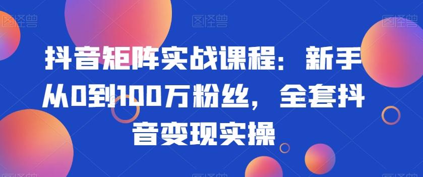 抖音矩阵实战课程：新手从0到100万粉丝，全套抖音变现实操-网创论坛