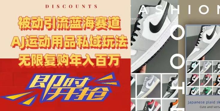 被动引流蓝海赛道，AJ运动用品私域玩法，无限复购年入百万【揭秘】-网创论坛