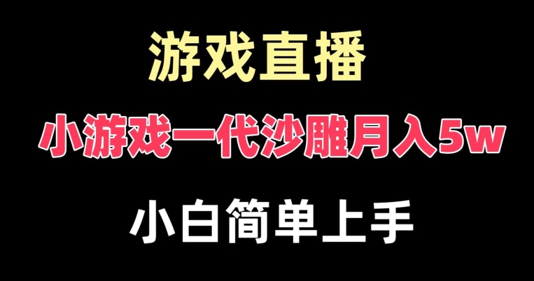 玩小游戏一代沙雕月入5w，爆裂变现，快速拿结果，高级保姆式教学【揭秘】-网创论坛